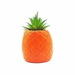 Promo 🧨 SpongeBob Pineapple Planter - SpongeBob SquarePants 👍 -Spencer's Shop 03760634 d